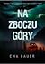Na zboczu góry