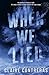 When We Lied (Fairview Hockey, #2)