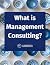 What is Management Consulti...