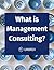 What is Management Consulting? (Umbrex Consulting Playbooks)