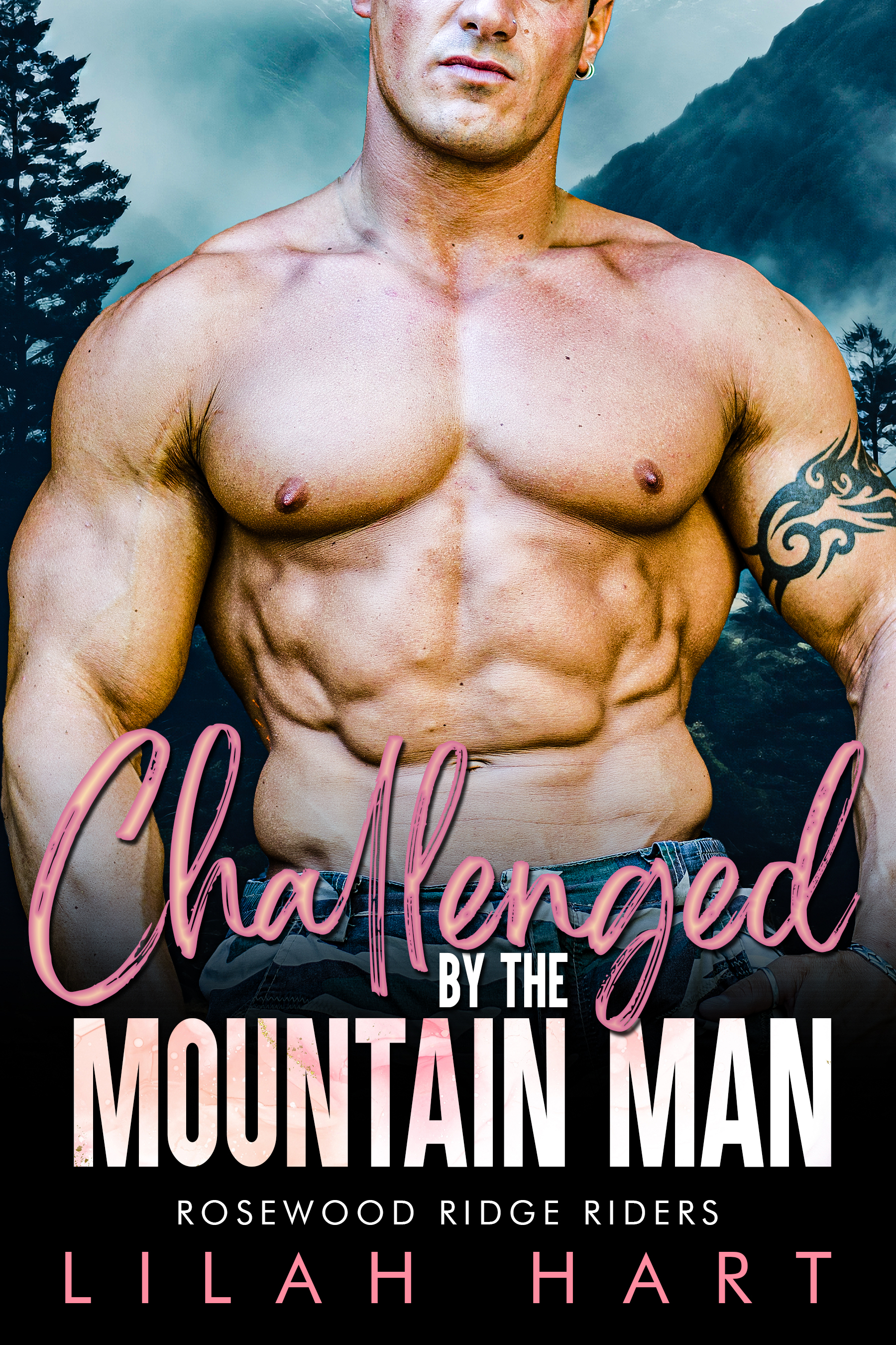 Challenged by the Mountain Man (Rosewood Ridge Riders, #2)