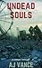 Undead Souls: A Zombie Thriller (Days of Decay Book 2)