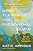 Brief Flashings in the Phenomenal World