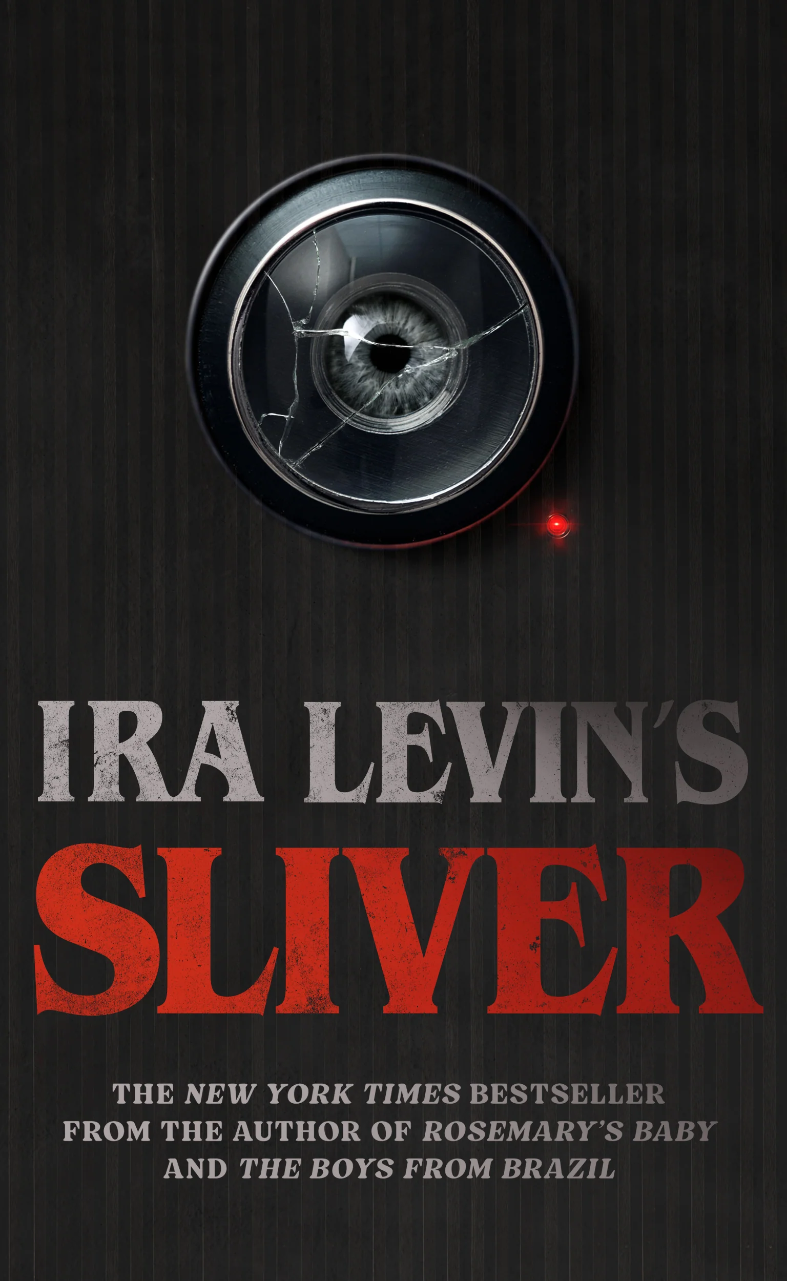 Sliver: A Novel
