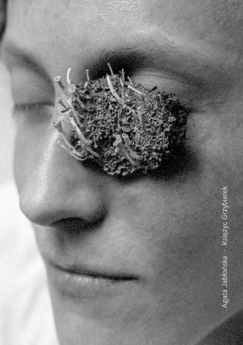 Księżyc Grzybiarek