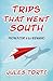Trips That Went South by Jules Torti