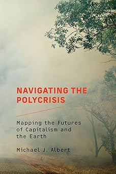 Navigating the Polycrisis: Mapping the Futures of Capitalism and the Earth (Paperback)