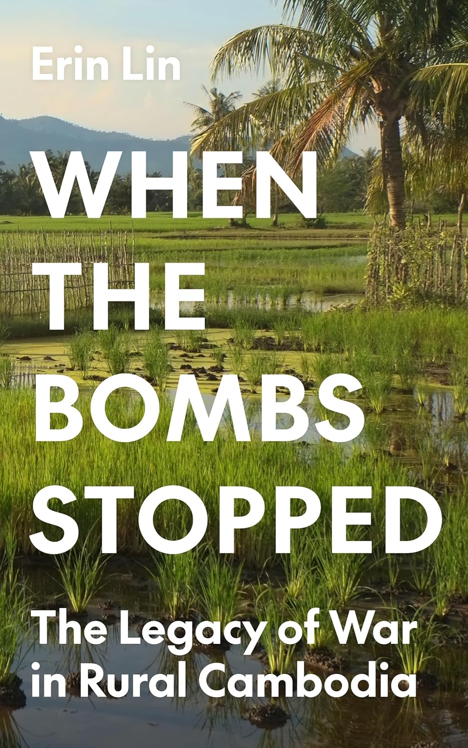 When the Bombs Stopped: The Legacy of War in Rural Cambodia (Princeton Studies in International History and Politics)