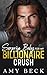Surprise Baby for My Billionaire Crush by Amy Beck