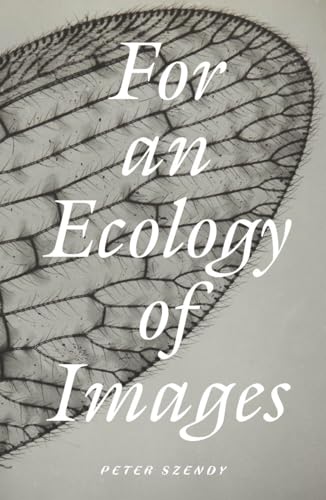 For an Ecology of Images (Paperback)