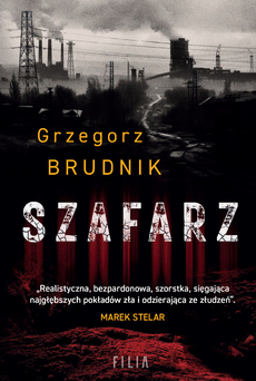 Szafarz (Komisarz Rafał Lichy, #1)