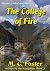 The College of Fire (Stones...