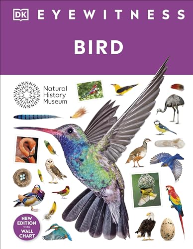 Bird (DK Eyewitness)