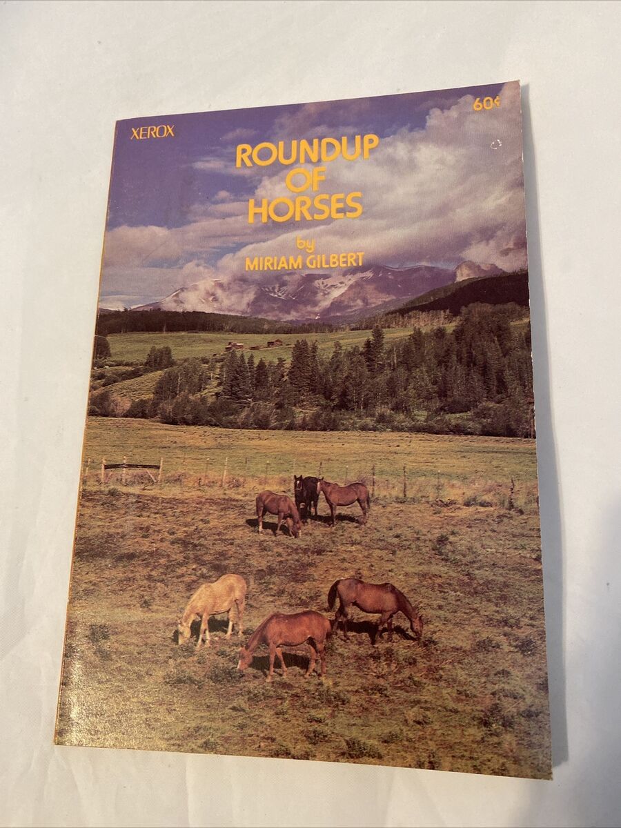 Roundup of Horses (Paperback)