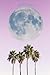 Stay Wild Moon Child Journa...