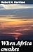 When Africa awakes: Enriche...