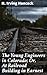 The Young Engineers in Colorado; Or, At Railroad Building in Earnest: Building Dreams on the Railway Frontier