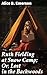 Ruth Fielding at Snow Camp; Or, Lost in the Backwoods: A Wild Journey of Courage and Survival in the Snowy Wilderness
