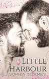 Little Harbour (Scandinavian Comfort, #1)