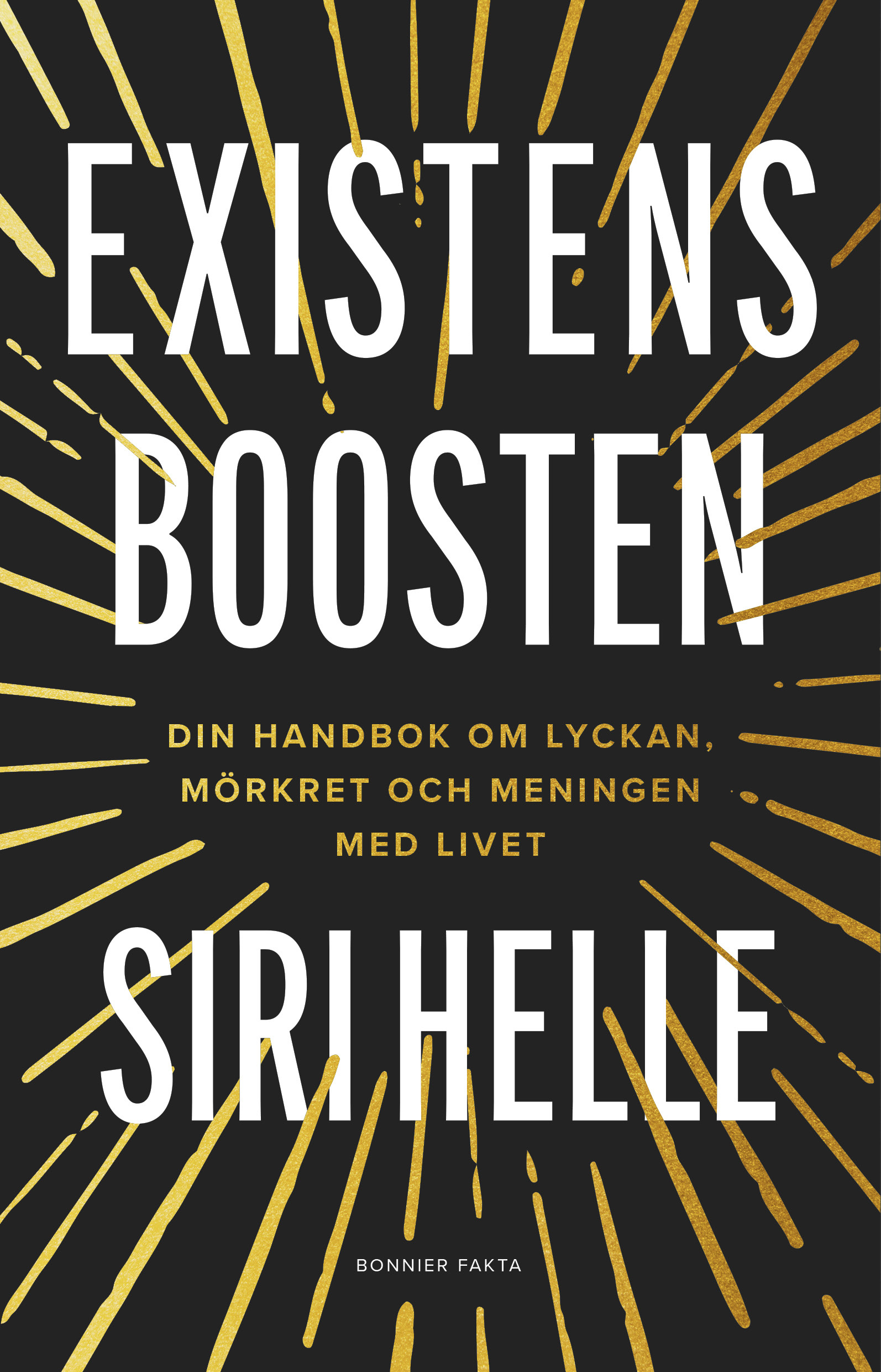 Existensboosten : Din handbok om lyckan, mörkret och meningen med livet (Hardcover)