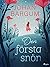 Den första snön