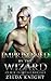 Imprisoned by the Wizard: An M/M Fairytale Romance