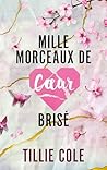 Mille morceaux de...
