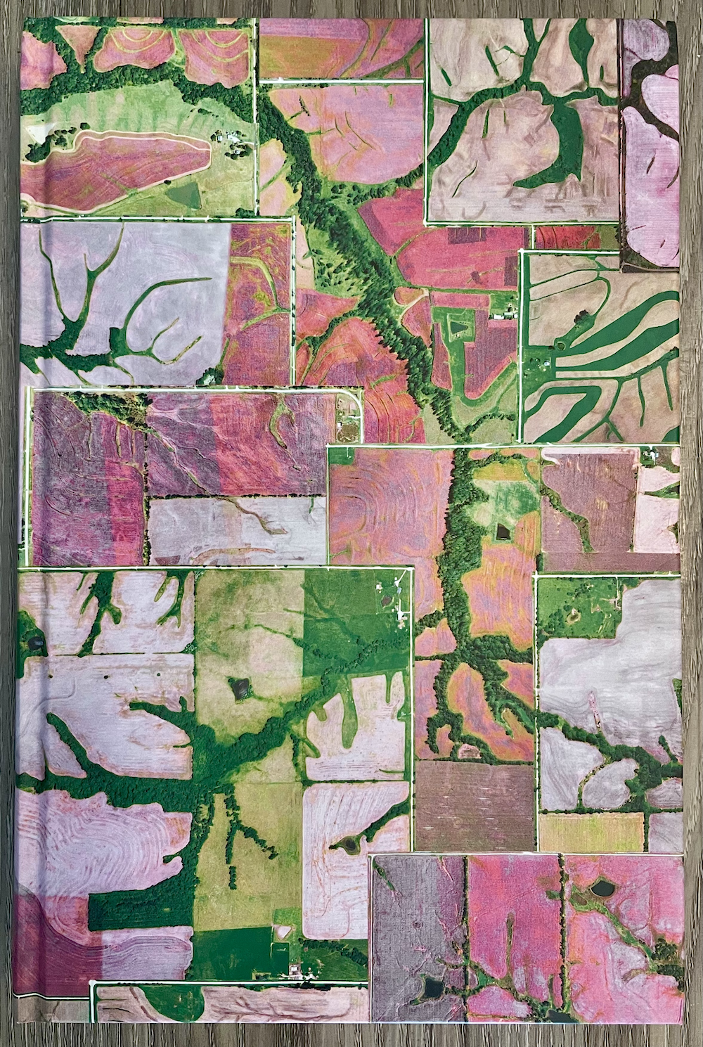 Dark Mountain Issue 25: Spring 2024