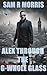 ALEX THROUGH THE G-WHOLE GLASS by Sam R Morris