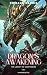 Dragon's Awakening
