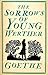 The Sorrows of Young Werther by Translator(R.D. Boylan)Joha...