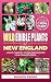Wild Edible Plants of New E...