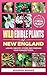 Wild Edible Plants of New England: Locate, Identify, Store, and Prepare Your Foraged Finds (Field & Forest Series: Regional Wild Food Guides)
