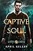 Captive Soul (Saint Lakes #6)