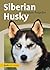 Siberian Husky