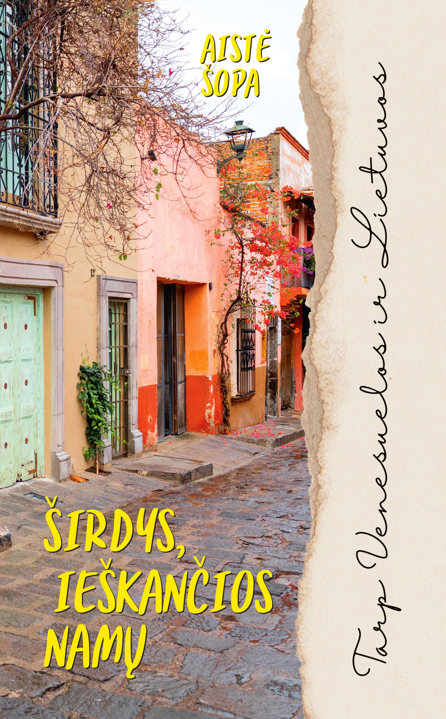 Širdys, ieškančios namų. Tarp Venesuelos ir Lietuvos (Paperback)