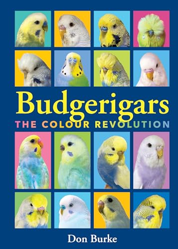 Budgerigars: The Color Revolution (Paperback)