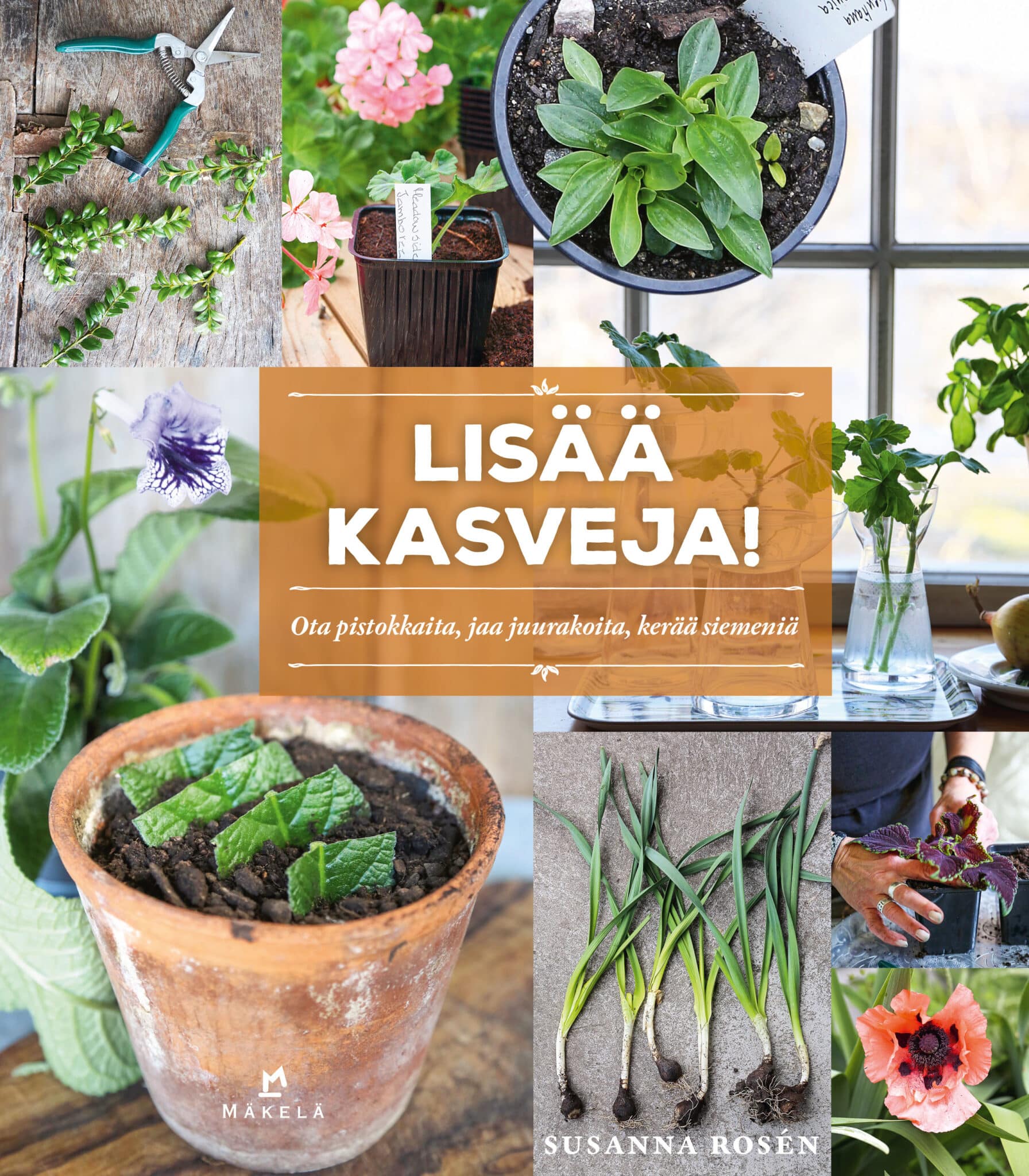 Lisää kasveja! : ota pistokkaita, jaa juurakoita, kerää siemeniä