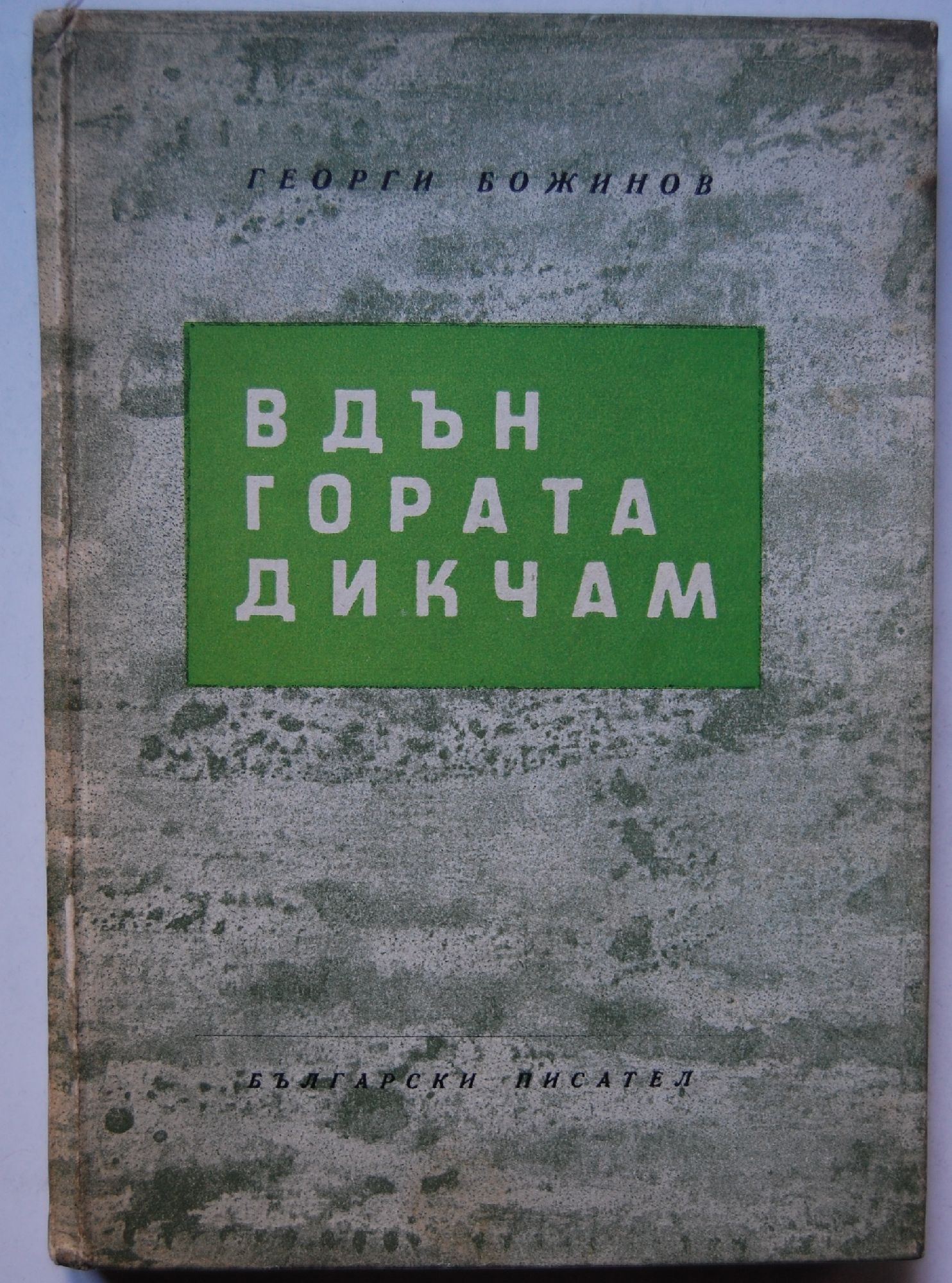 Вдън гората Дикчам (Hardcover)