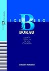 Iceberg Borau