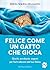 Felice come un gatto che gioca by Mikel Maria Delgado