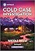 Cold Case Investigation (Hudson Sibling Solutions #3)