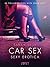 Car Sex - Sexy erotica (LUST)