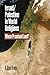 Israel/Palestine in World Religions by S. Ilan Troen
