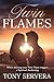 Twin Flames: When meeting your twin flame triggers a spiritual awakening (Twin Flame Romance Relationship)
