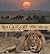Kalahari: Wild Africa