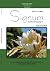 Signum v.24 i.1/april 2021 ...