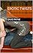 Erotic Twists by David Payne