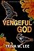 Vengeful God (Gods of Ravencrest University, #1)