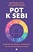 Pot k sebi
